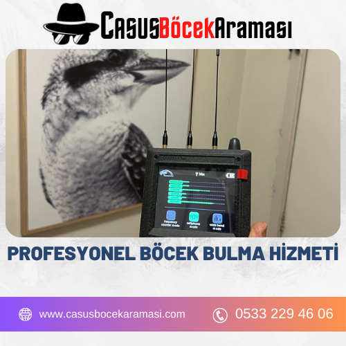 Profesyonel Böcek Bulma Hizmeti