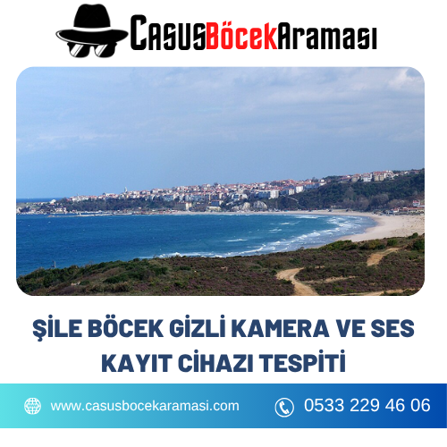 Şile Böcek Gizli Kamera ve Ses Kayıt Cihazı Tespiti
