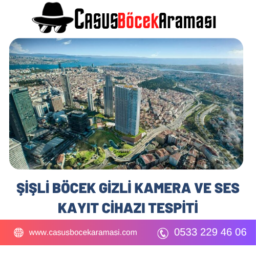 Şişli Böcek ve Gizli Kamera Tespiti